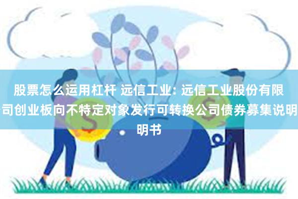 股票怎么运用杠杆 远信工业: 远信工业股份有限公司创业板向不特定对象发行可转换公司债券募集说明书