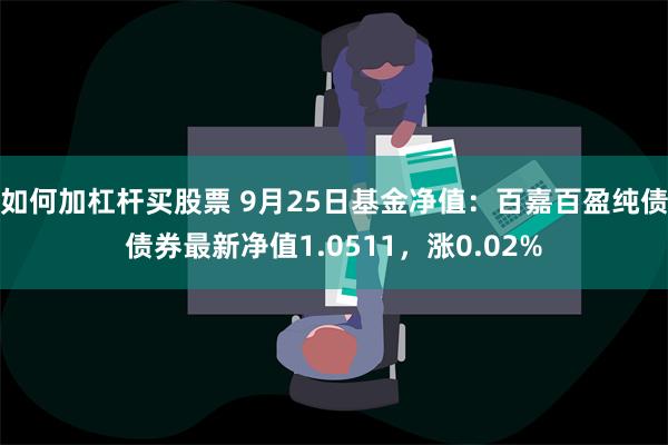 如何加杠杆买股票 9月25日基金净值：百嘉百盈纯债债券最新净值1.0511，涨0.02%