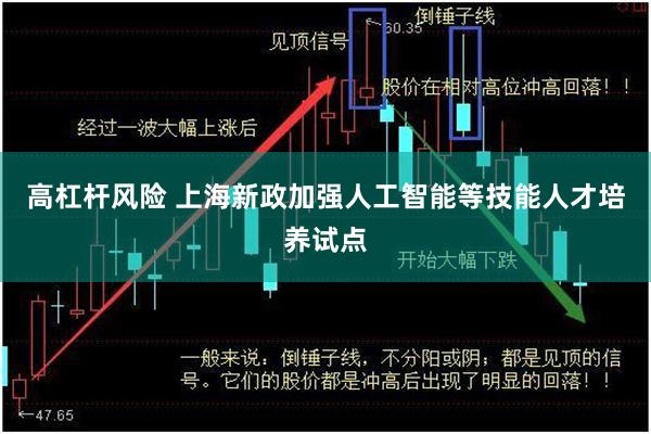 高杠杆风险 上海新政加强人工智能等技能人才培养试点