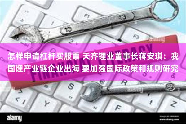 怎样申请杠杆买股票 天齐锂业董事长蒋安琪：我国锂产业链企业出海 要加强国际政策和规则研究