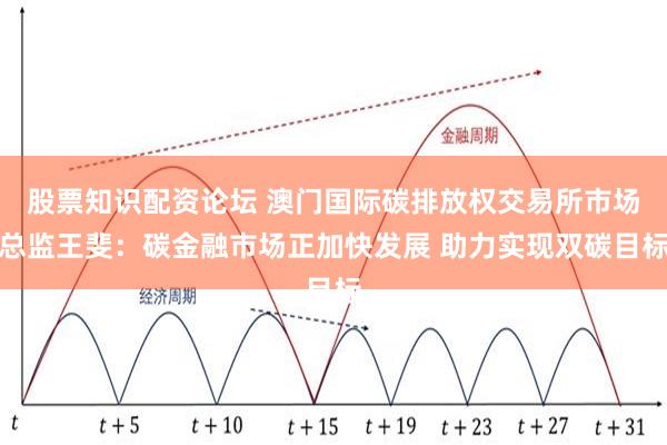 股票知识配资论坛 澳门国际碳排放权交易所市场总监王斐：碳金融市场正加快发展 助力实现双碳目标