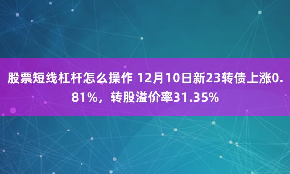 股票短线杠杆怎么操作 12月10日新23转债上涨0.81%，转股溢价率31.35%