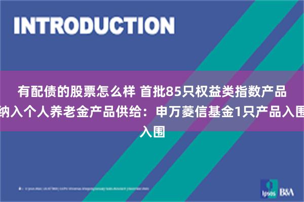 有配债的股票怎么样 首批85只权益类指数产品纳入个人养老金产品供给：申万菱信基金1只产品入围