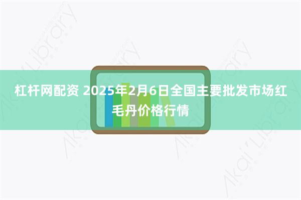 杠杆网配资 2025年2月6日全国主要批发市场红毛丹价格行情