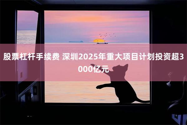 股票杠杆手续费 深圳2025年重大项目计划投资超3000亿元